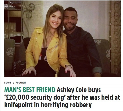 太阳报:阿什利-科尔花费2万英镑买入了一只精英保护犬